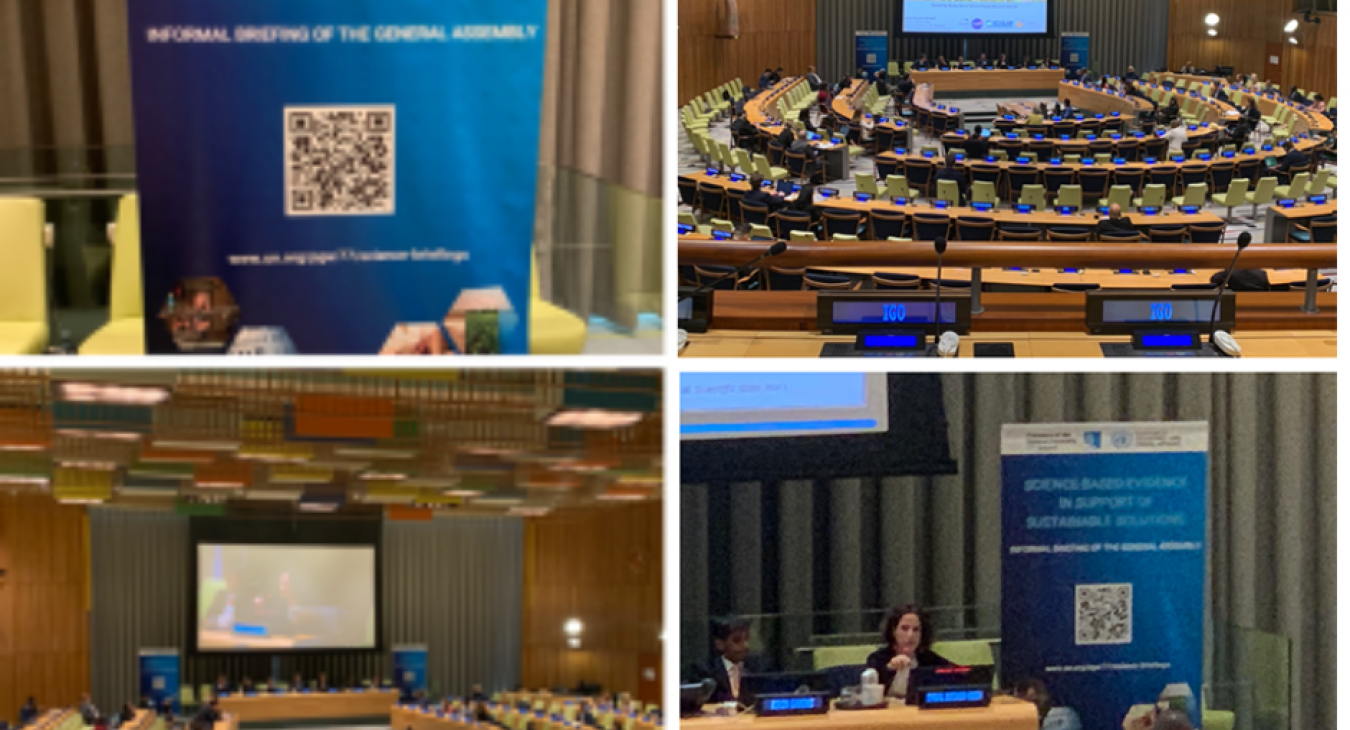 UN_Gen_Assembly_Sci_briefing