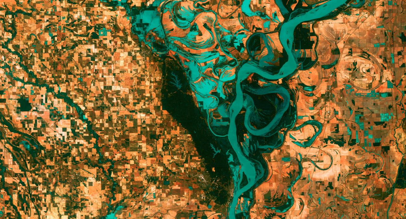 https://unsplash.com/photos/green-and-brown-illustration-35Z2ylLRCO8